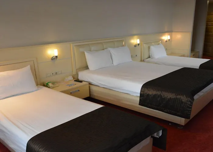 Hangover ホテル 3*